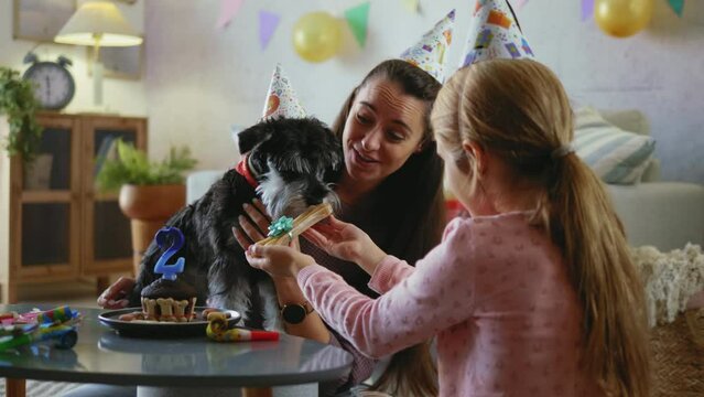A little girl gives her dog a dog bone for his birthday