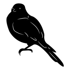 Black silhouette of a bird