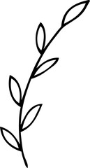 Hand Drawn Botanical Leaf Line Art