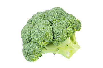 Fresh broccoli isolated on white background. File contains clipping path.