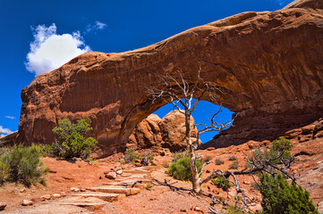 The Arches National Park,  Moab (Utah)