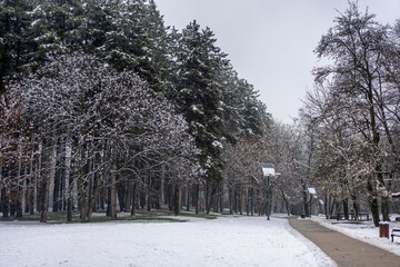 Path in a public park in snowy weather in winter