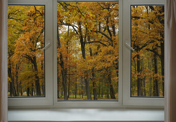 Window frame, view from the window, landscape outside.