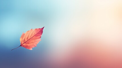 Single autumn leaf gently fall against vivid colorful minimalistic backdrop, copy space, little autumn leaf embodying enchanting essence of autumn and marking peaceful shift in season