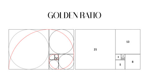 Golden ratio template. Composition spiral guideline illustration. Logarithmic spiral in rectangle frame fracted on lines, squares and circles outline.