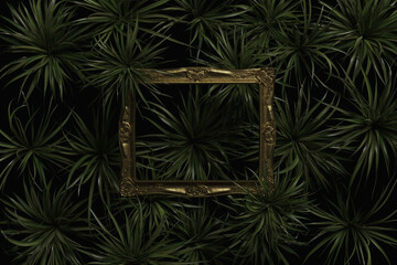 3D rendering of a golden vintage photo frame covered by spider plants from the top view