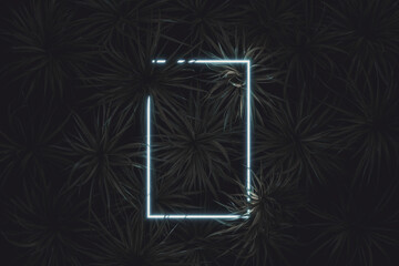 3D rendering of lighten neon rectangular shape covered by spider plants. Flat lay of minimal nature style concept
