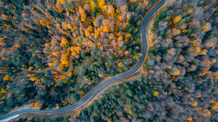 A bird's eye view of the road where vehicles pass through the forest in the autumn season in Yedigoller National Park. Bolu, Turkey.