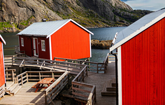 norwegian red rorbur