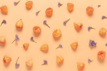 Autumn composition. Physalis flowers and sea lavender flowers on a pastel peach background. Top view, flat lay.