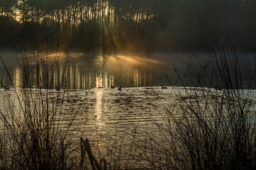 Au bord du lac a lever du soleil