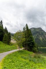 Fototapeta premium road in the mountains