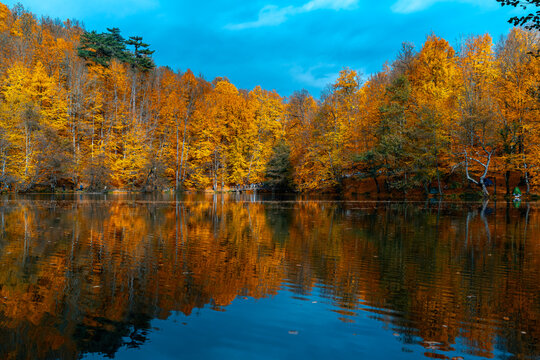 The image of autumn trees reflected in the clear water of the lake. The magnificent harmony of the blue sky and yellowing leaves.