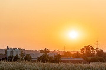 Fototapeta premium sunset above farm yard with power lines and forest in background