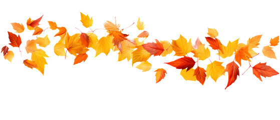 Falling autumn golden, red and orange leaves isolated on transparent background, PNG image with background removed, created with Generative Ai technology.