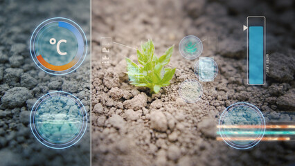 Analyzing data from a fresh plant sprout, Smart farming concept - 3D HUD overlay