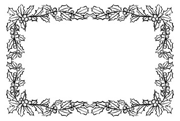 ナチュラルなヒイラギの線画　フレーム