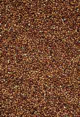 Background texture of a large pile of buckwheat. Many buckwheat grains close-up in daylight