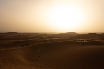 Fototapeta na wymiar Mezouga Desert at sunset with tourists on dromedaries touring the sand dunes.
