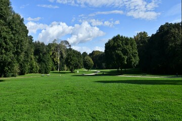 Fototapeta premium The Capodimonte forest in Naples, Italy.
