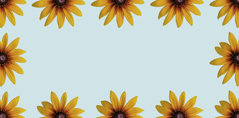 Echinacea 'Parrot' coneflower/ Echinacea 'Funky yellow' flower ring. Cut out. Frame border. Vibrant...
