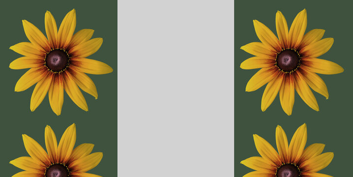 Echinacea 'Parrot' coneflower/ Echinacea 'Funky yellow' flower ring. Cut out. Frame border. Vibrant flower bloom pattern. Round ring. Floral wallpapers and backgrounds