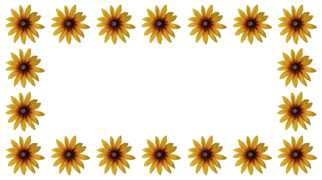 Echinacea 'Parrot' coneflower/ Echinacea 'Funky yellow' flower ring. Cut out. Frame border. Vibrant flower bloom pattern. Round ring. Floral wallpapers and backgrounds. PNG