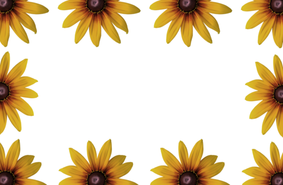 Echinacea 'Parrot' coneflower/ Echinacea 'Funky yellow' flower ring. Cut out. Frame border. Vibrant flower bloom pattern. Round ring. Floral wallpapers and backgrounds. PNG