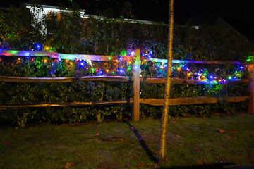 View of colourful Christmas tree lights