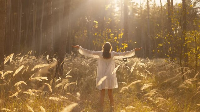 Outdoor slow motion video young beautiful girl in autumn landscape with dry wild flowers and tall grass. light white dress. brunette woman walking in forest, park. warm autumn or summer season day