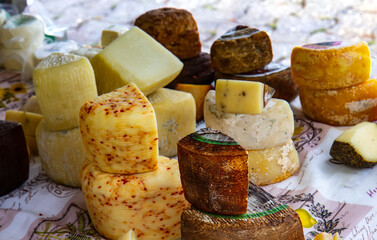 Various types of cheese on the table