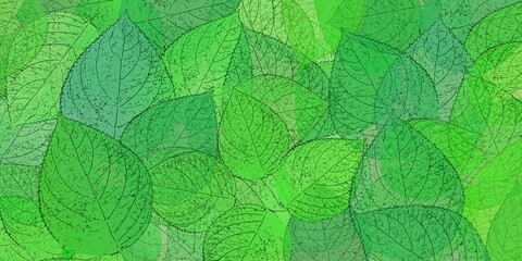 Illustration. Beautiful background of green leaves. For cover, banner and invitation. Botanical jungle illustrated for banner, prints, decor.