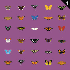 Butterfly Various Cartoon Vector Illustration Set 1