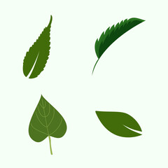 Leaf Vector Design, Icon, Symbol