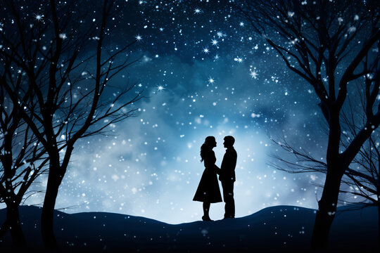 Whimsical Silhouette of wedding couple with starry night,christmas theme
