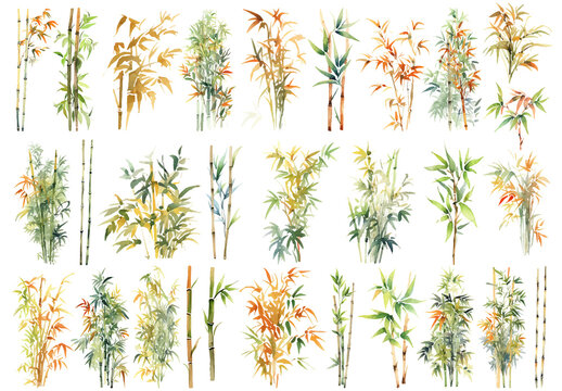 Vector watercolor painted bamboo clipart. Hand drawn design elements isolated on white background.