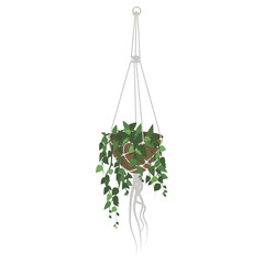 Houseplant in a pot hanging white macrame. Flat vector illustration isolated on white background