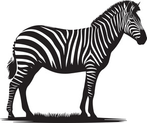 Zebra Silhouettes SVG EPS PNG
