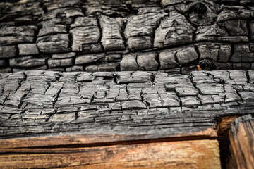 Burned rustic wood board. Black burnt board after fire