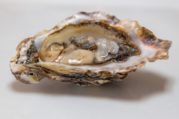 Fresh raw oyster isolated on white background