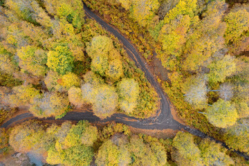 Drone aerial of Autumn forest road. View of autumn forest road with fallen leaves Fall season scenery. Epirus Greece