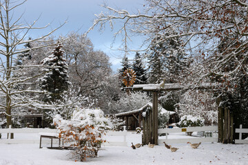 Garten mit Flugenten und Laufenten im Winter mit Schnee.