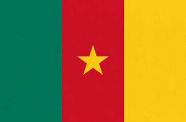 Flag of Cameroon. Cameroonian national flag on textured background