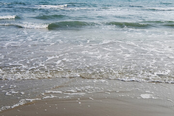 Sponge on sand and beach with sunlight and sunset in the sea of Thailand. Nature in summer and hopeful in life for vacation and holiday concept