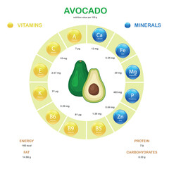 Infographics about nutrients in Avocado