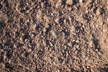 Brown crushed soil peat field abstract texture may be used as a  background wallpaper