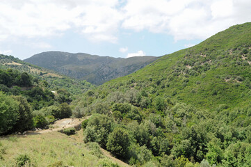 Fototapeta na wymiar La vallée de la rivière Doria près d'Amari en Crète