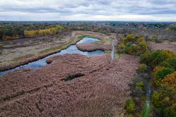 Aerial view of the river flowing through the reeds