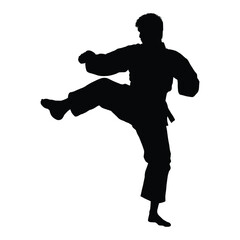 Martial Arts Flying Kick Silhouette