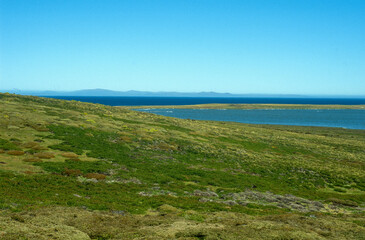 Volunteer Point , Est Falkland, Iles Falkland, Malouines